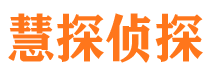 宝应侦探公司